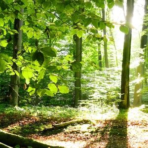 Meet your Posher, Katrina